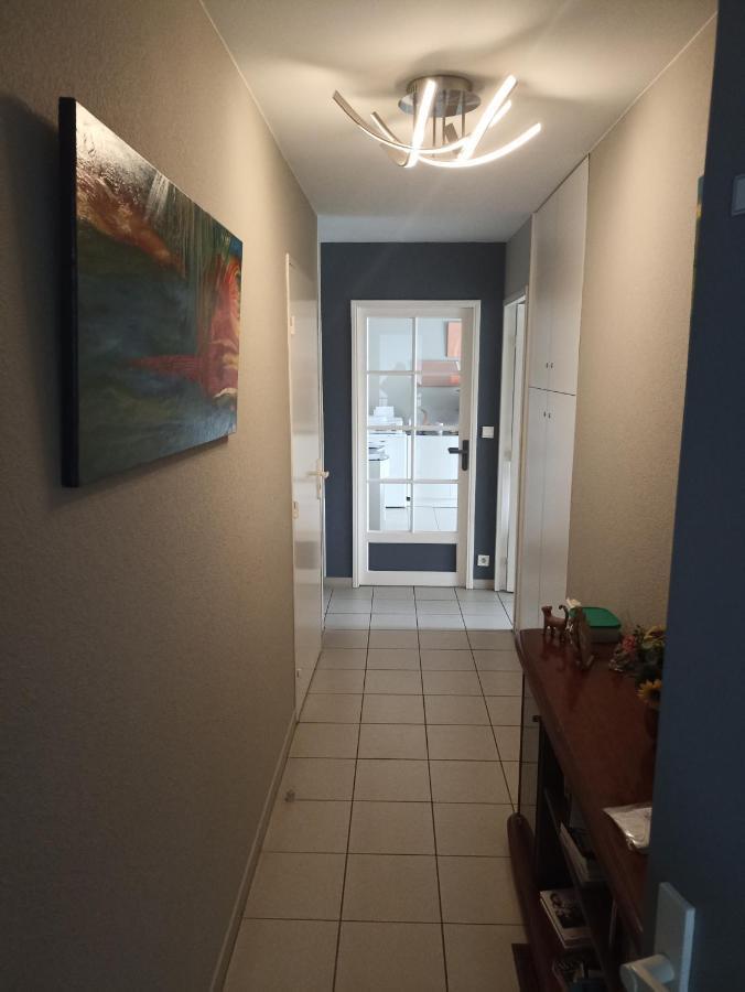 Bayonne Appartement 63M2 Avec Terrase Parking Wifi Eksteriør billede